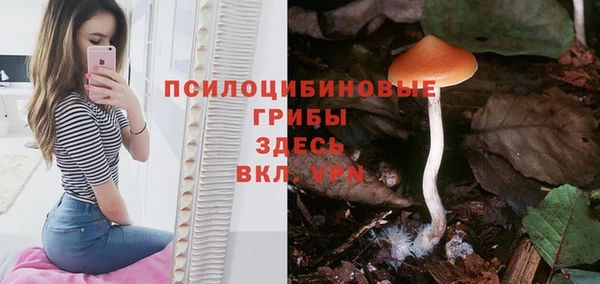 стаф Красноперекопск