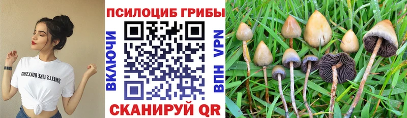 Галлюциногенные грибы ЛСД  Купить  Гурьевск 